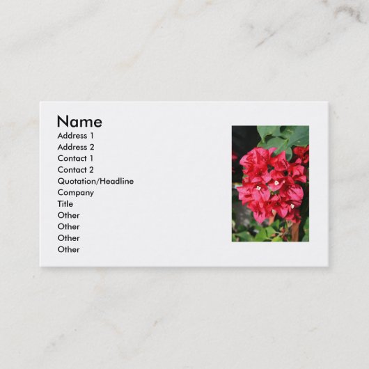ブーゲンビリアによっては名刺が開花します 名刺 (正面)