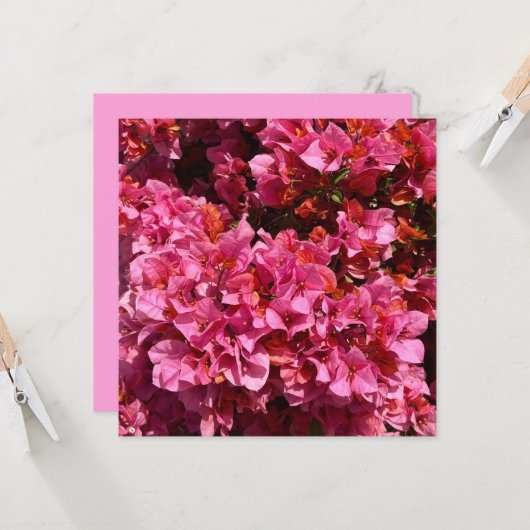 ブーゲンビリアのピンクの熱帯のバイニング低木の写真 カード (正面/裏面インサイチュ)