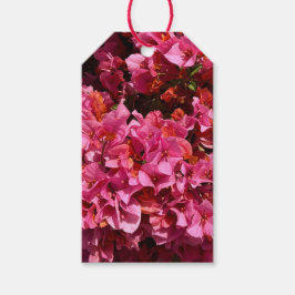 ブーゲンビリアのピンクの熱帯のバイニング低木の写真 ギフトタグ