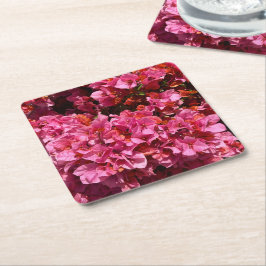ブーゲンビリアのピンクの熱帯のバイニング低木の写真 スクエアペーパーコースター