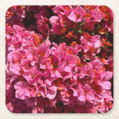 ブーゲンビリアのピンクの熱帯のバイニング低木の写真 スクエアペーパーコースター (正面)