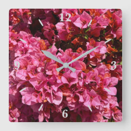 ブーゲンビリアのピンクの熱帯のバイニング低木の写真 スクエア壁時計