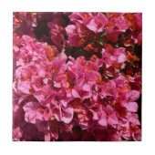 ブーゲンビリアのピンクの熱帯のバイニング低木の写真 タイル (正面)