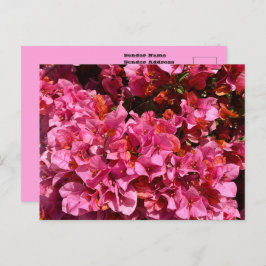 ブーゲンビリアのピンクの熱帯のバイニング低木の写真 ポストカード