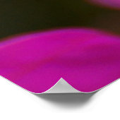 ブーゲンビリアの美しい ポスター (角)