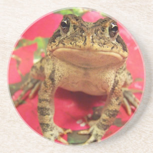 ブーゲンビリアの背部に抵抗しているヒキガエルのカエル コースター