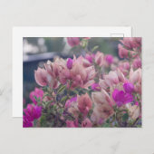 ブーゲンビリアの花 シーズンポストカード (正面/裏面)