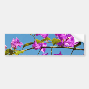 ブーゲンビリアの花 バンパーステッカー
