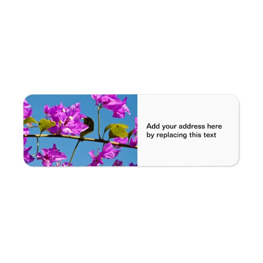 ブーゲンビリアの花 ラベル (正面)