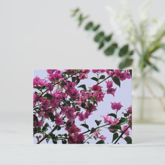 ブーゲンビリア枝はがき ポストカード (スタンド正面)