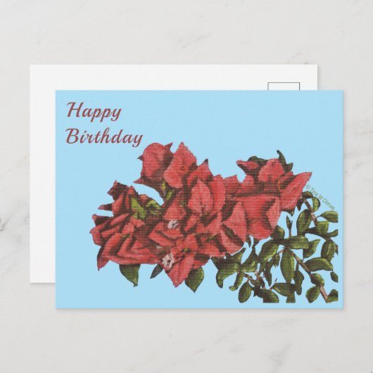 ブーゲンビリア葉書 ポストカード (正面/裏面)