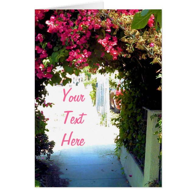 ブーゲンビリア (正面)