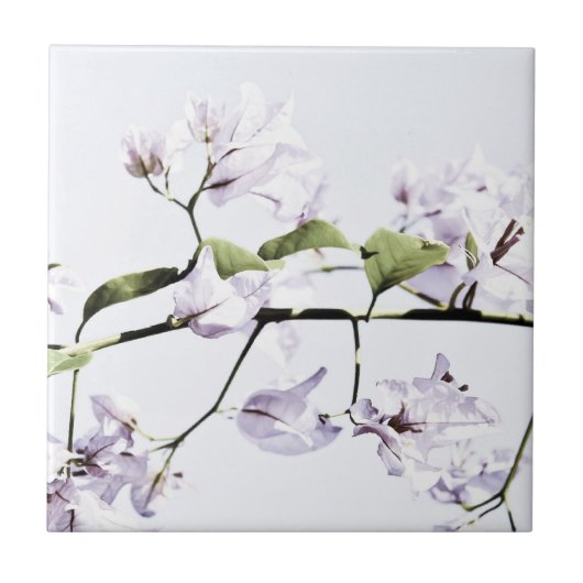 ブーゲンビリア タイル (正面)