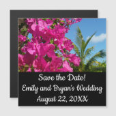 ブーゲンビリア&パームツリートロピカル自然シーン (正面/裏面)