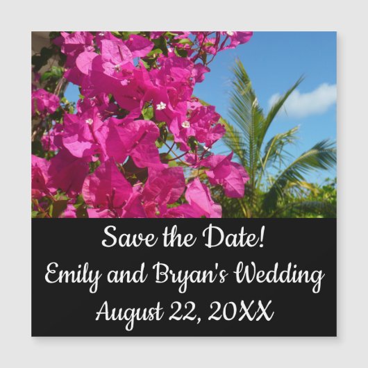 ブーゲンビリア&パームツリートロピカル自然シーン (正面)