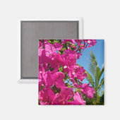 ブーゲンビリア&パームツリートロピカル自然シーン マグネット (正面/裏面)