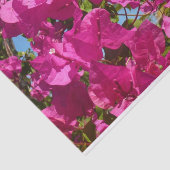 ブーゲンビリア&パームツリートロピカル自然シーン 薄葉紙 (詳細)