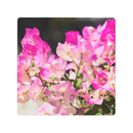 ブーゲンビリア メタルプリント