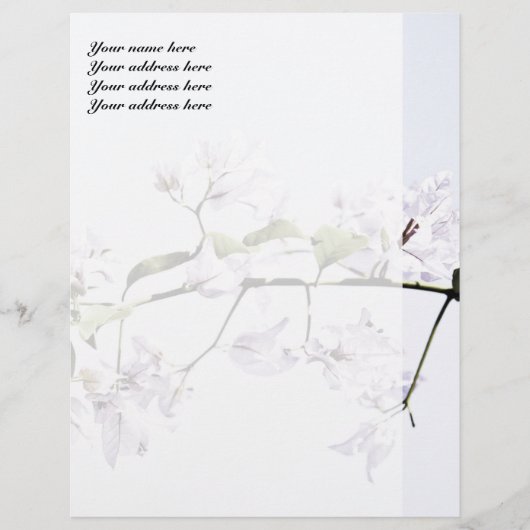 ブーゲンビリア レターヘッド (正面)