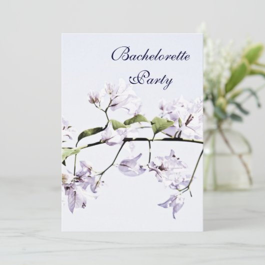 ブーゲンビリア 招待状 (スタンド正面)