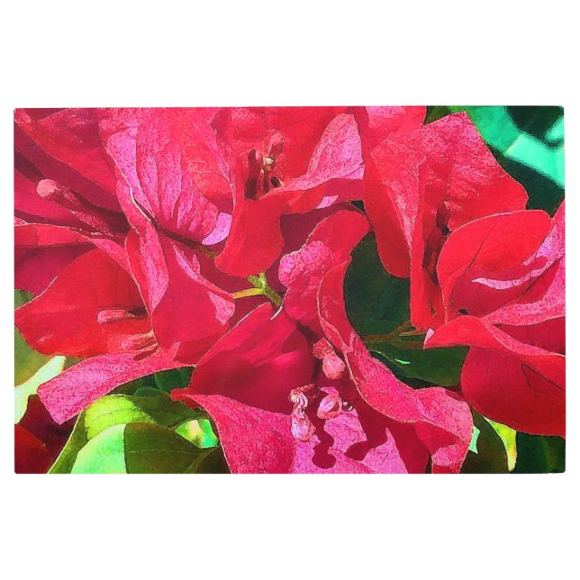 ブーゲンビリークローズアップメタルウォールアート メタルプリント (正面)