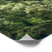 ブータンのマングデュー渓谷のヒマラヤの森 ポスター (角)