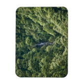 ブータンのマングデュー渓谷のヒマラヤの森 マグネット (縦)