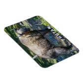 ブータンの国産動物タキン – ヒマラヤ，アジア マグネット (右側)