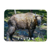 ブータンの国産動物タキン – ヒマラヤ，アジア マグネット (横)