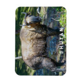 ブータンの国産動物タキン – ヒマラヤ，アジア マグネット (縦)