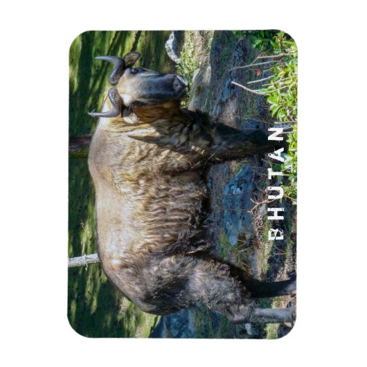 ブータンの国産動物タキン – ヒマラヤ，アジア マグネット (縦)