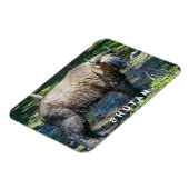 ブータンの国産動物タキン – ヒマラヤ，アジア マグネット (左側)