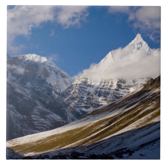 ブータンの山·ジチュ·ドレイクの姿。 タイル (正面)