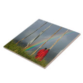 ブータン、ガンギー村、2人の僧侶に虹 タイル (側面)