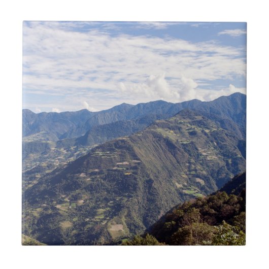 ブータン ヒマラヤの東の山々 タイル (正面)