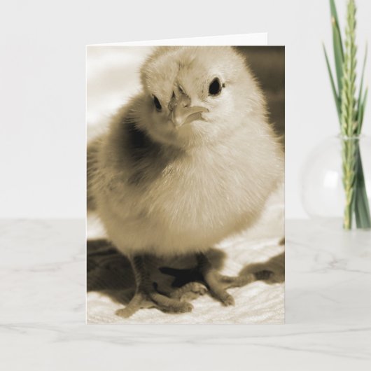 ブーツのひよこ カード (正面)