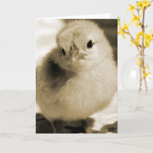 ブーツのセピアすべての行事空白の内 カード (黄色い花)