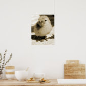 ブーツのヒック ポスター (キッチン)