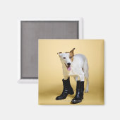 ブーツを履いた犬 マグネット (正面/裏面)