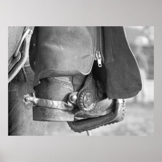 ブーツ・アンド・スプリアス ポスター (正面)