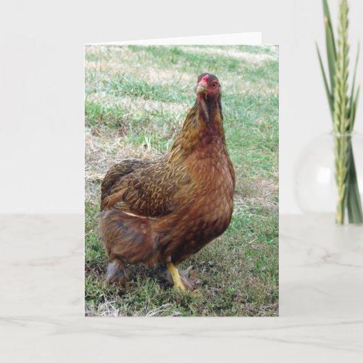 ブーツ カード (正面)