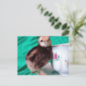 ブーツ ポストカード (スタンド正面)