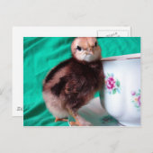 ブーツ ポストカード (正面/裏面)