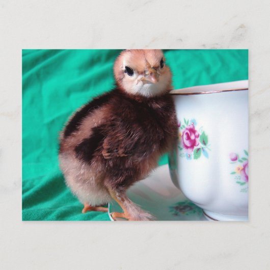 ブーツ ポストカード (正面)