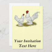 ブートバンタム 招待状 (正面/裏面)