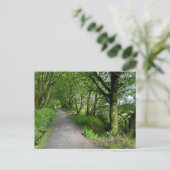 ブート・スコットランド島のウッドランドの歩道 シーズンポストカード (スタンド正面)