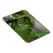 ブート・スコットランド島のウッドランドの歩道 マグネット (右側)