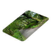 ブート・スコットランド島のウッドランドの歩道 マグネット (左側)