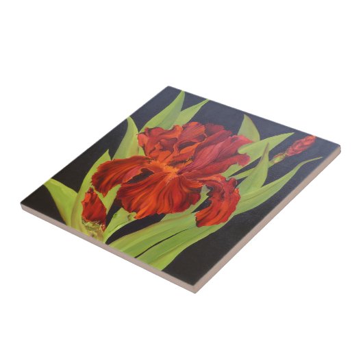 ブードゥーの炎の赤のアイリス タイル (側面)