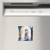 ブードゥーノックダウンドールカーニバルゲームダウンドマグネット マグネット (インサイチュ (食洗機))